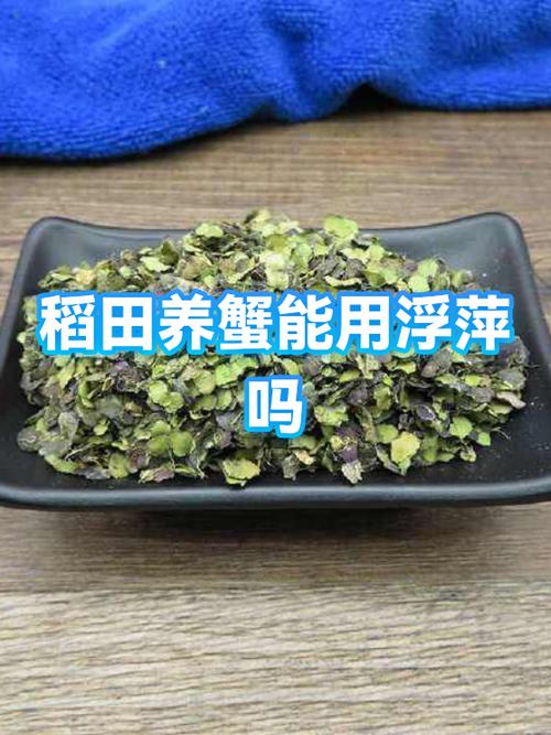 稻田养蟹每亩利润