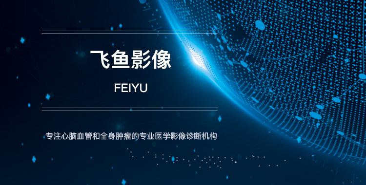 飞鱼影像的坑骗行为
