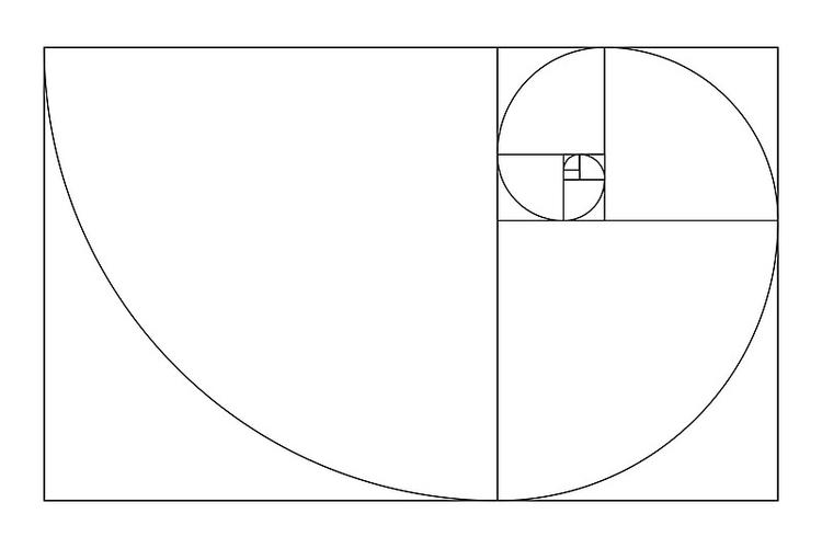黄金比例数字是多少