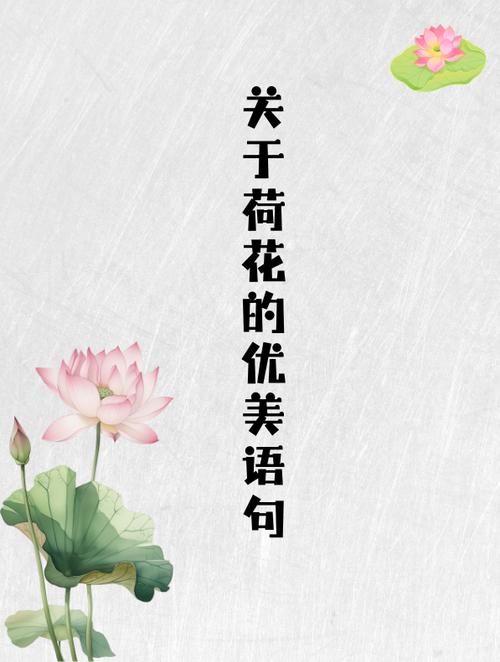 画面太美的说说