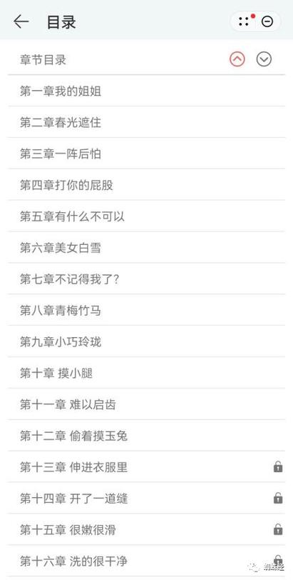 快手上出现的小说