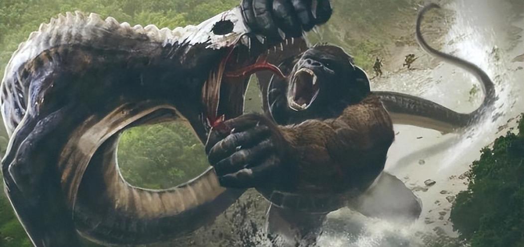 金刚骷髅岛3在线观看免费缩略图