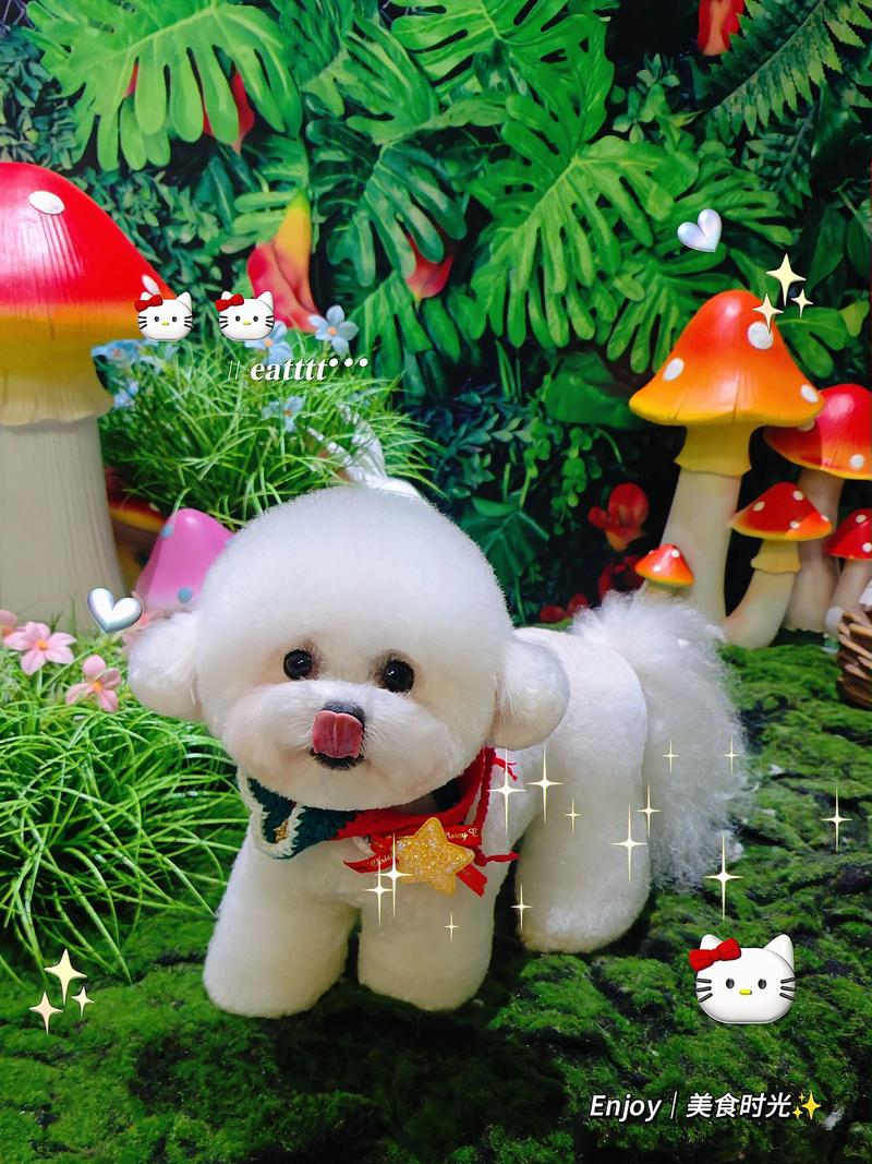 修改器乖巧的熊