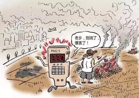 家人守护的十大坏处