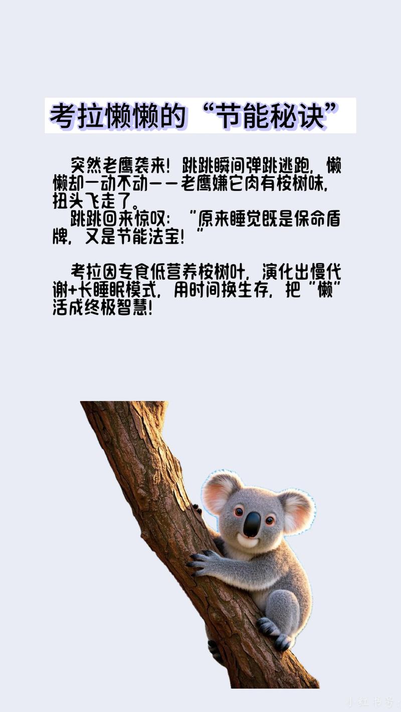 考拉的故事睡前故事
