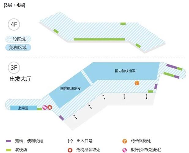 T1是什么意思