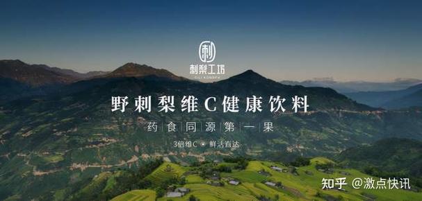 大激梨购票平台官网入口