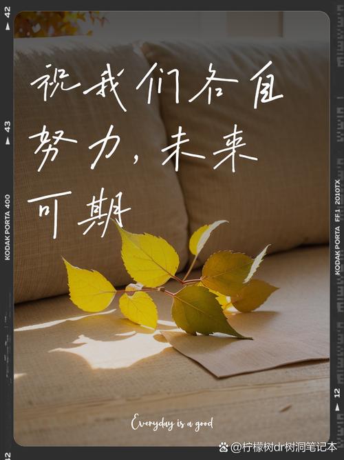 未来可期的金句八个字