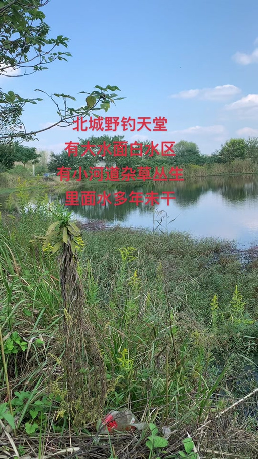 周边钓鱼野钓地点大全
