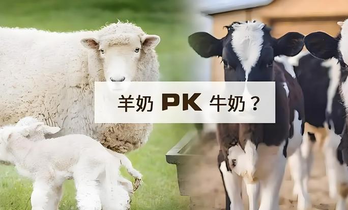 是羊奶粉好还是牛奶粉好缩略图