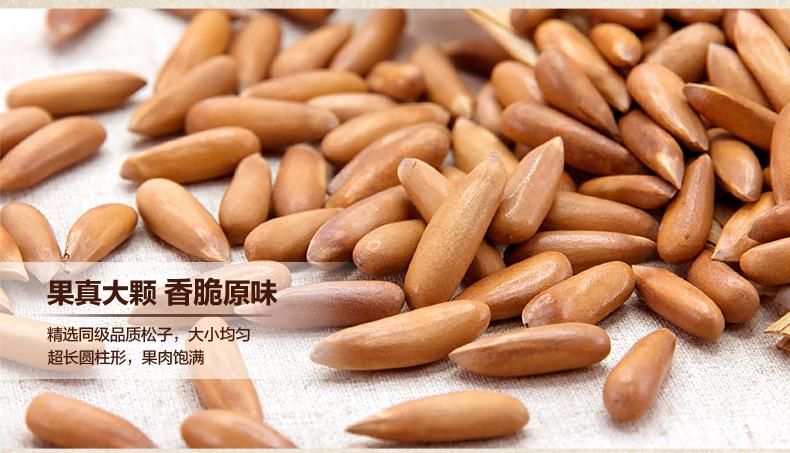 巴西松子全部小说