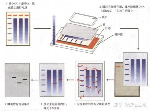 取消打印日期和时间