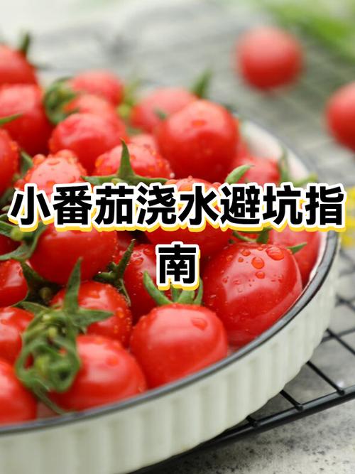 小番茄怎么吃