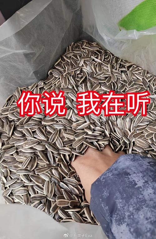 瓜子表情包截图