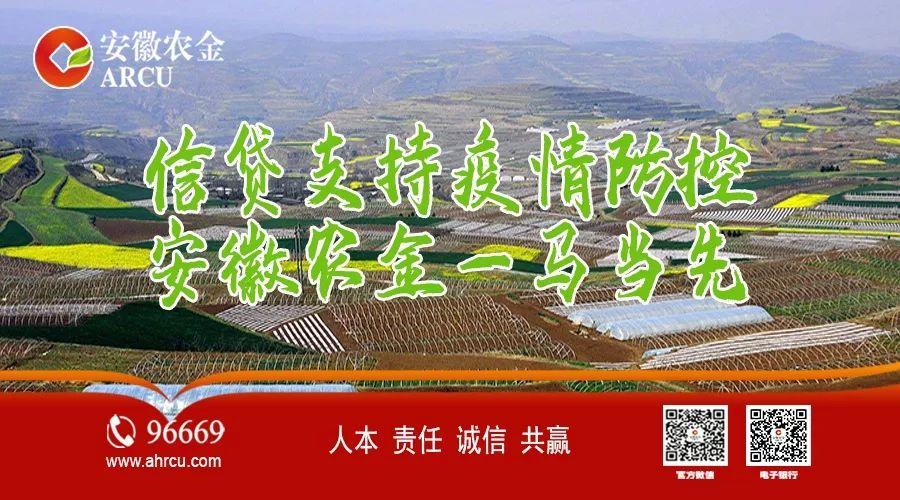 安徽农金96669