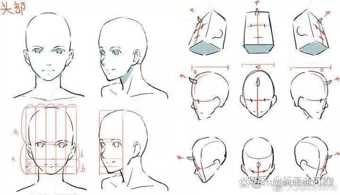 美术应该按照什么顺序学