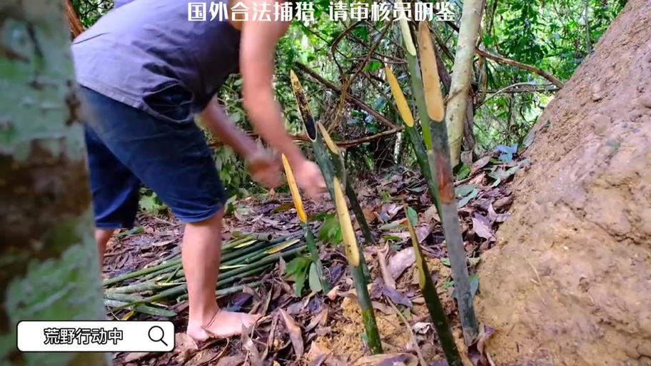 越南贵族哥荒野求生图标