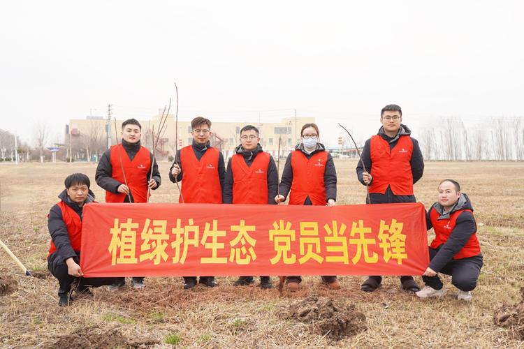 环保项目游戏截图