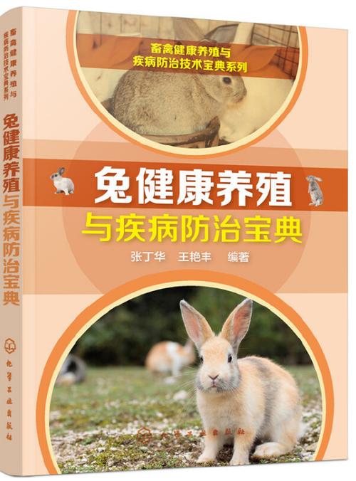 兔子的饲养方法缩略图