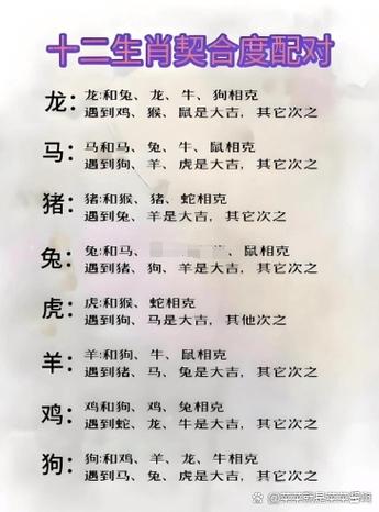 12生肖相生相克表