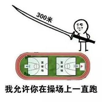 三十米长的大刀表情包
