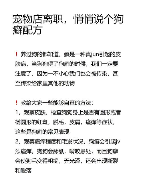 狗狗皮肤病真菌感染图片