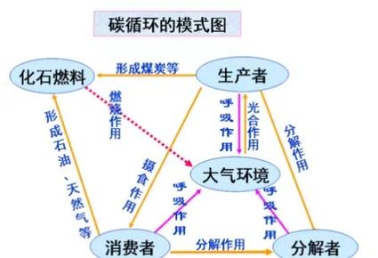 无机碳源有哪些