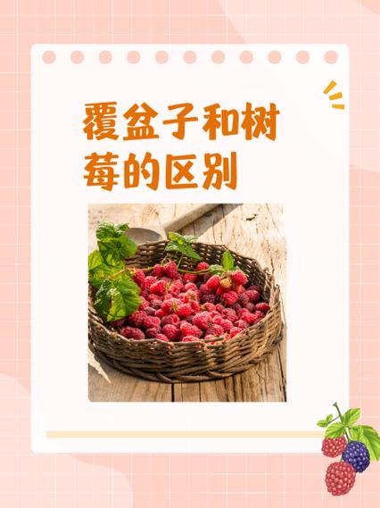 树莓和梨可以一起吃吗缩略图