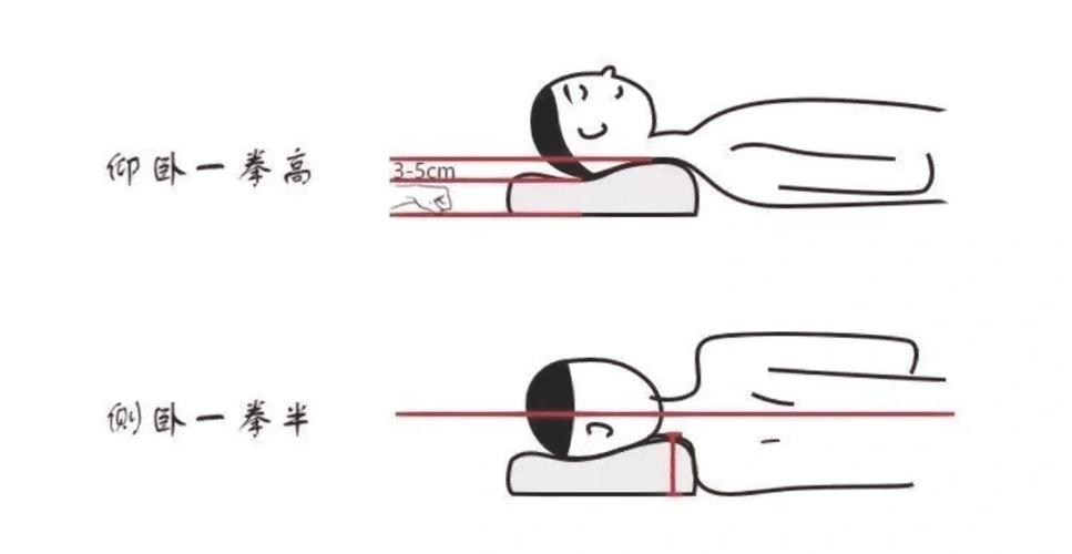 枕头一高一低正确枕法游戏截图