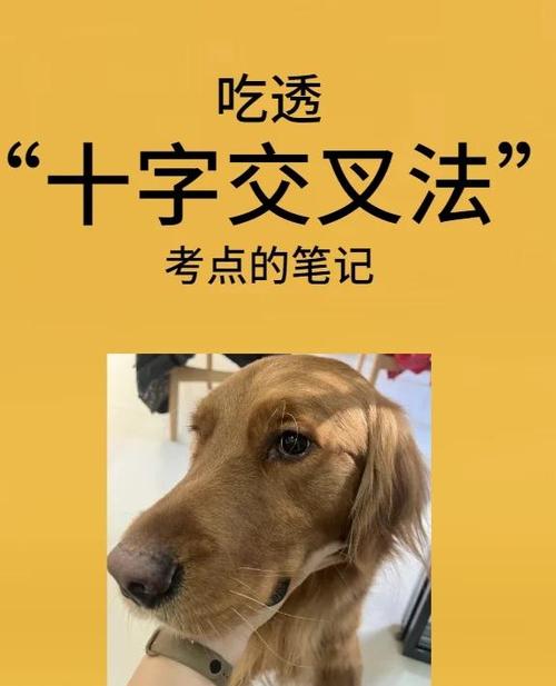 ps画笔是一个十字怎么办