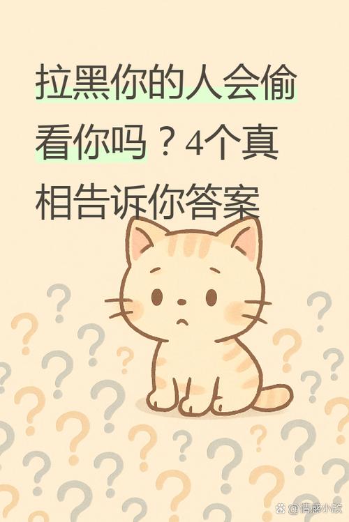 拉黑你的人会偷看你吗游戏截图