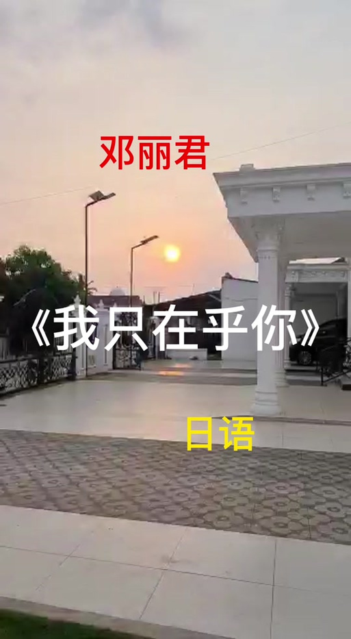 日语歌我只在乎你图标