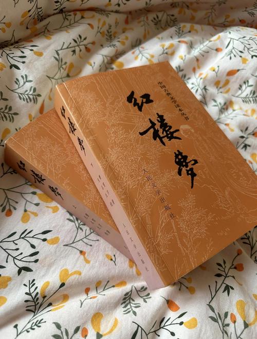 求道从红楼开始
