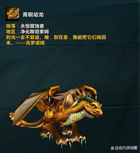 魔兽世界副本坐骑大全