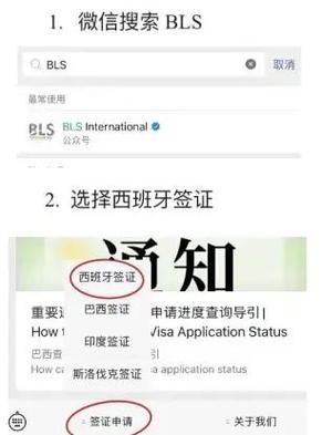签证办理进度查询