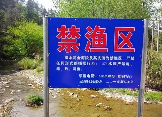 在禁钓区钓鱼