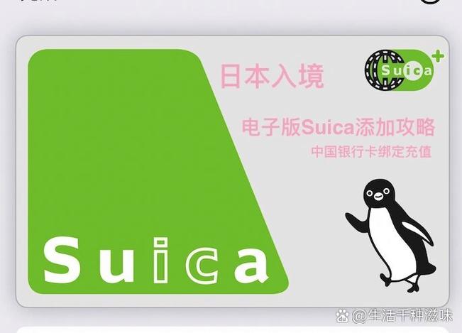 西瓜卡怎么充值