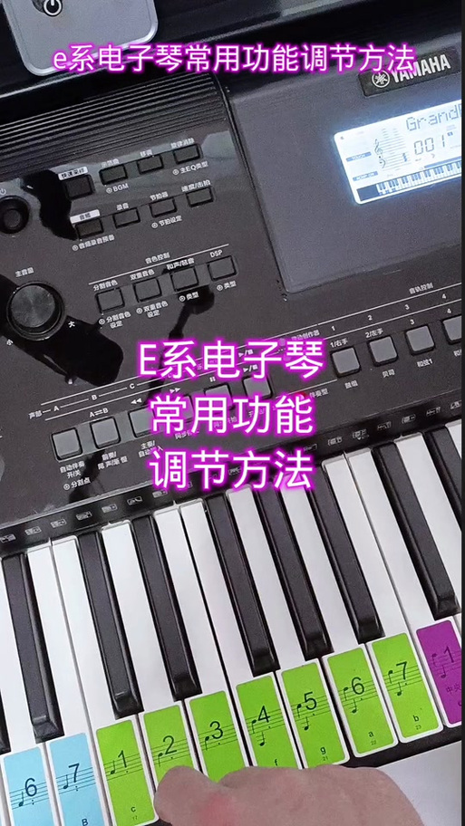 电子琴教学入门零基础缩略图