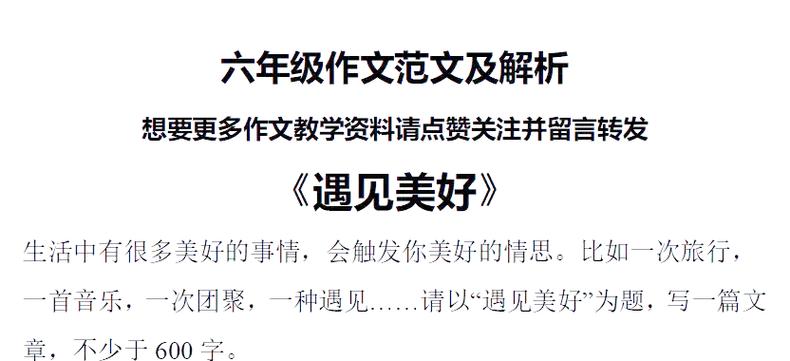 遇见作文600字15篇