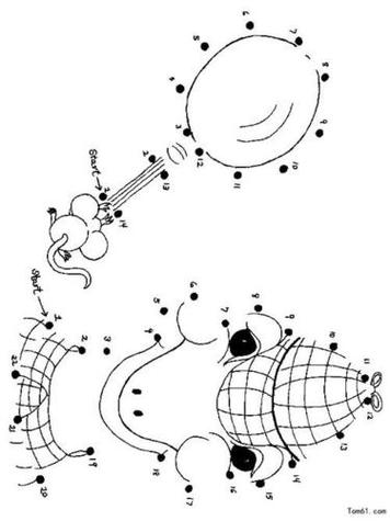 宝宝连线画水果图片