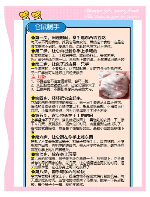 仓鼠不听话怎么惩罚缩略图