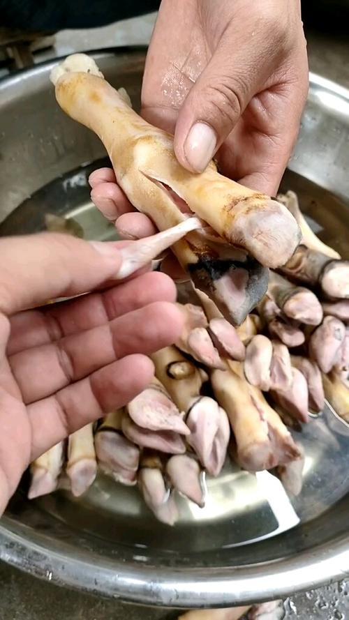 羊蹄子的毛怎么弄最干净