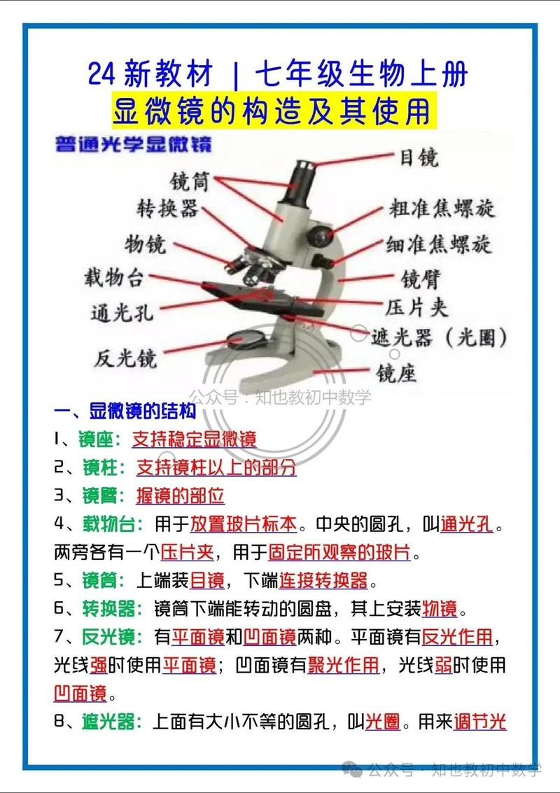 显微镜的使用注意事项