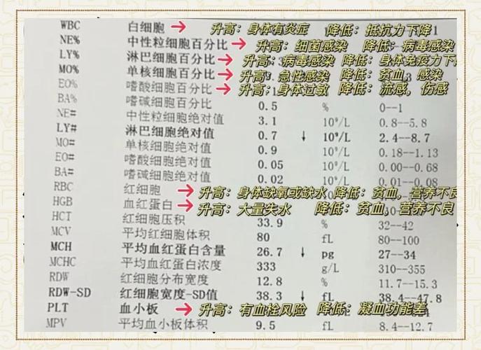 体检主要看哪些指标
