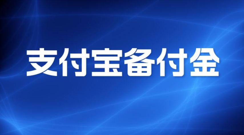 支付宝备付金如何追回截图