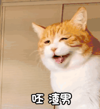 呸渣男下一句是什么