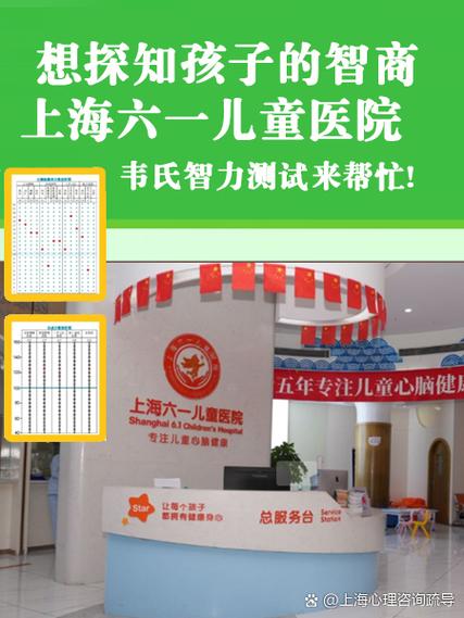 韦氏智力测试表免费