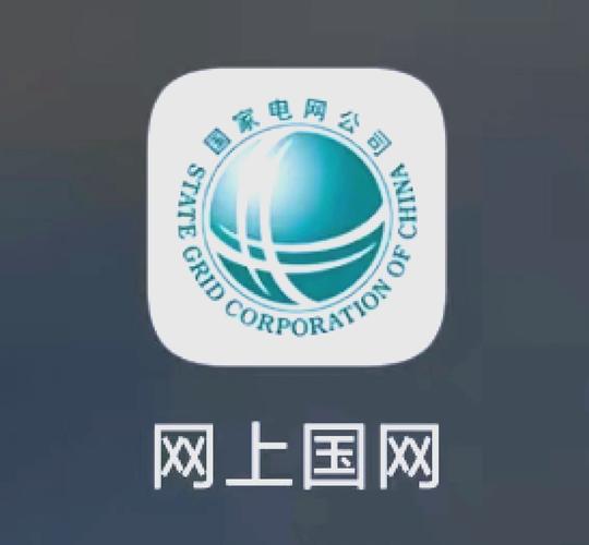 网上国网app免费下载