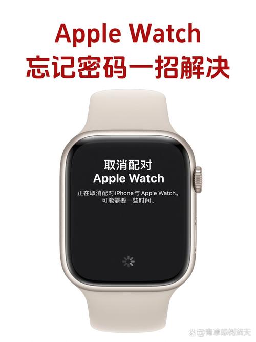苹果手表解锁密码忘记了游戏截图