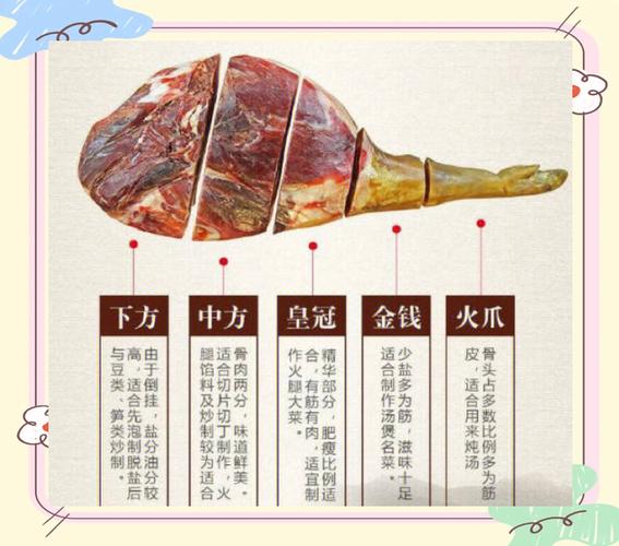 自己制作火腿的方法游戏截图